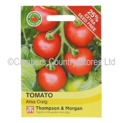 Thompson & Morgan Tomato Ailsa Craig